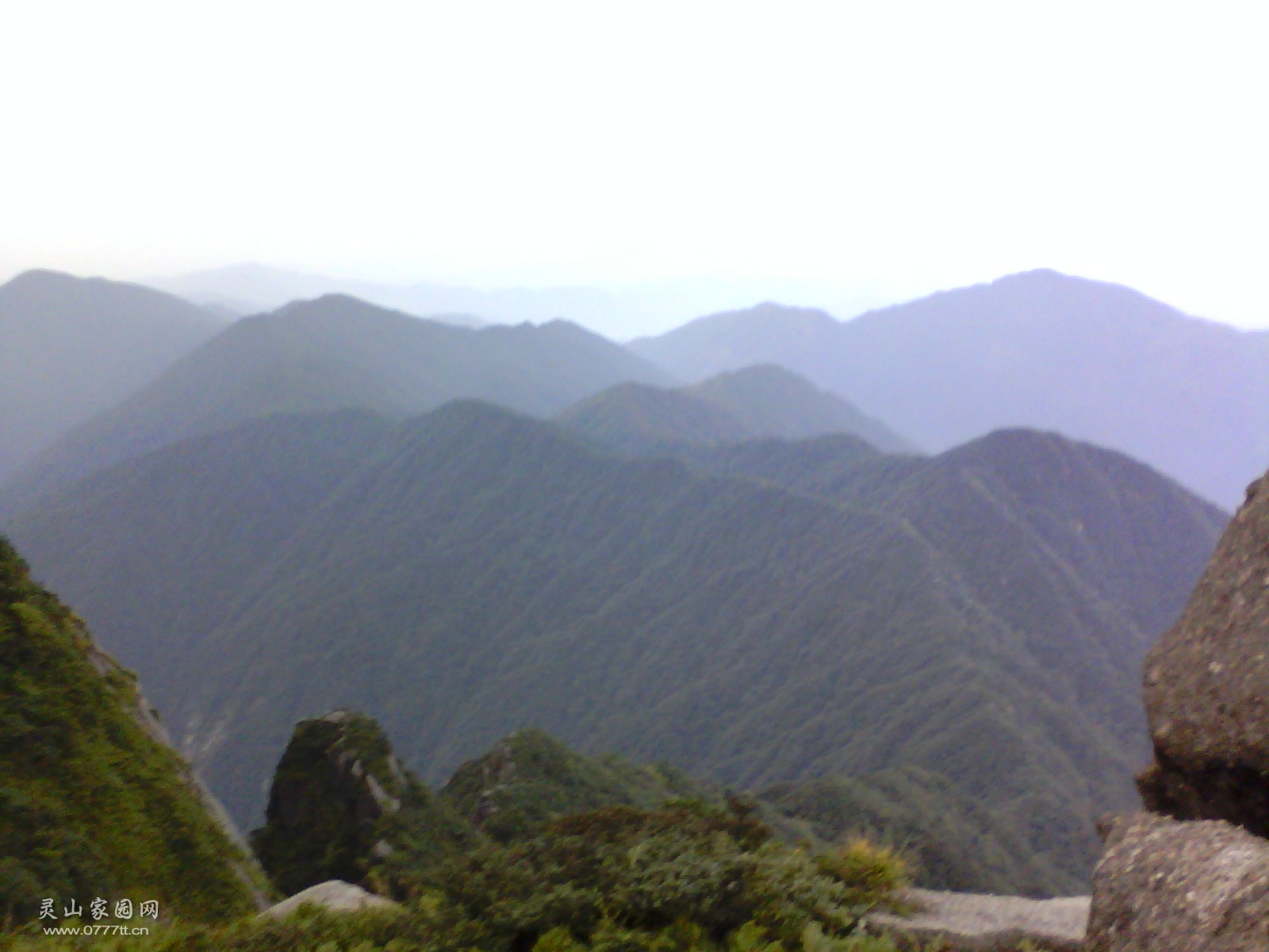 IMG_20131002_064530_0.jpg