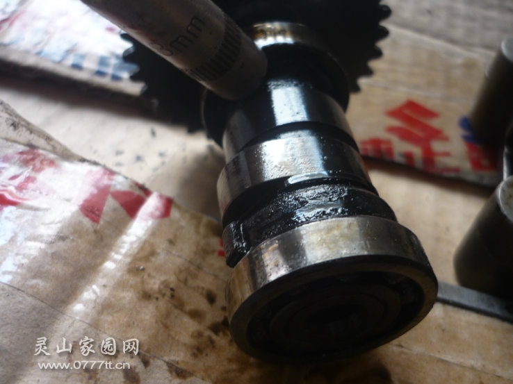 002426dp34sh6newg480gc.jpg