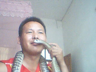 9158_405406.JPG