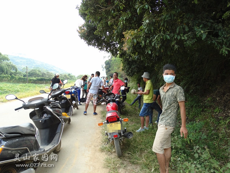 DSC02556_副本.jpg