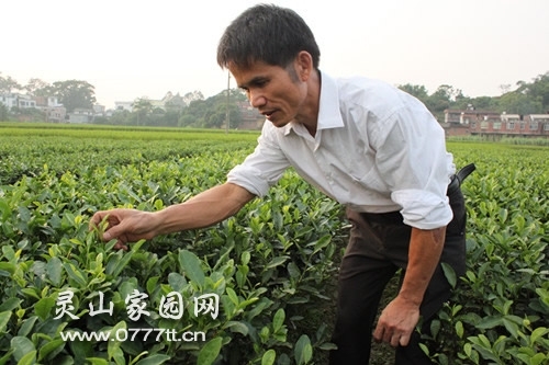 2013102216336731.jpg