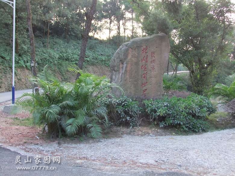 DSCF2667.jpg