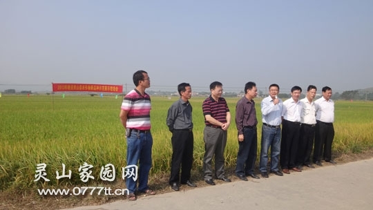 20131023115004372.jpg