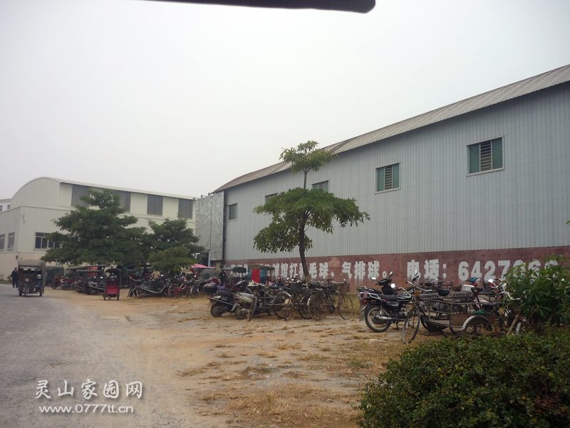 P1230443_副本.jpg