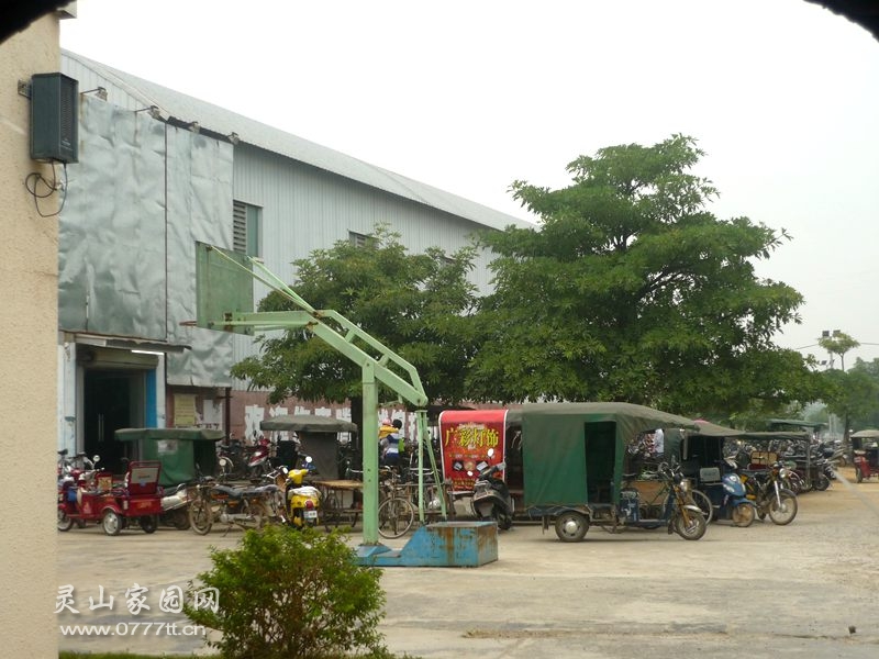 P1230444_副本.jpg