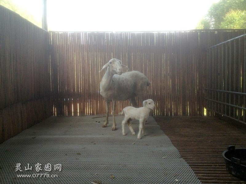 QQ图片20131101121230.jpg