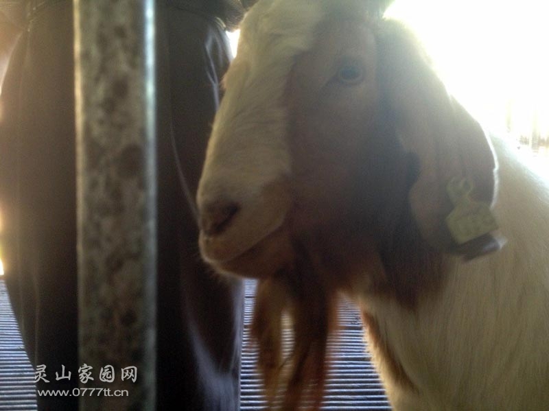 QQ图片20131101121205.jpg
