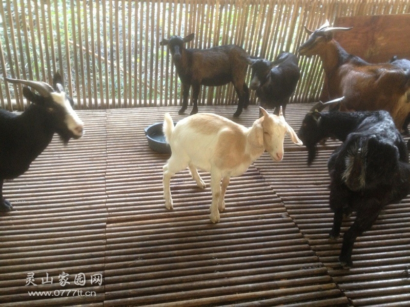 QQ图片20131101121212.jpg