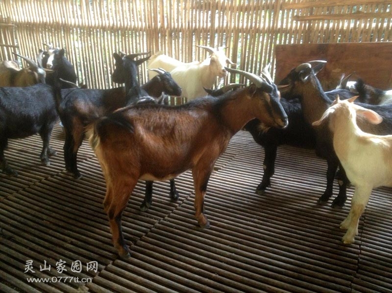QQ图片20131101121219.jpg