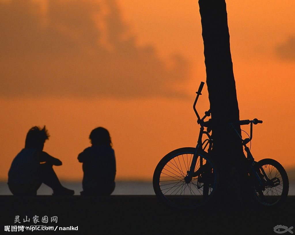20100201_70a608b11d7b571637583rMYrvh4KKwp.jpg