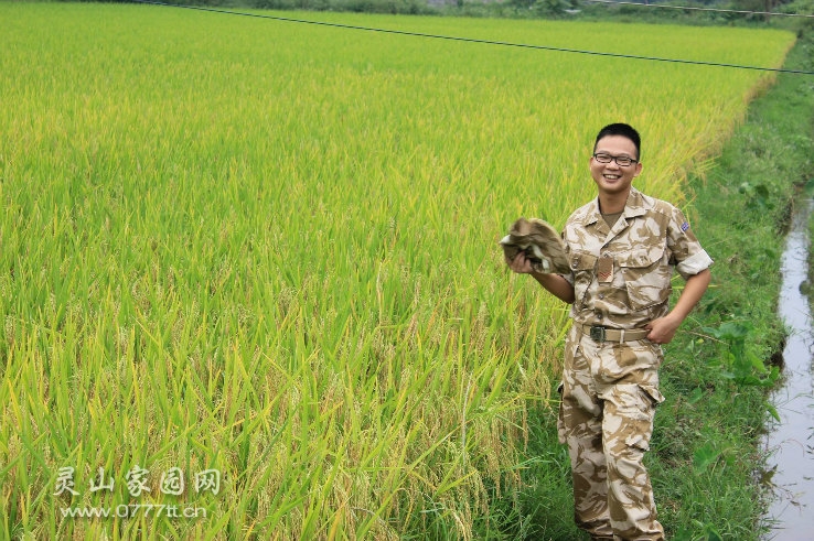 英沙小清新