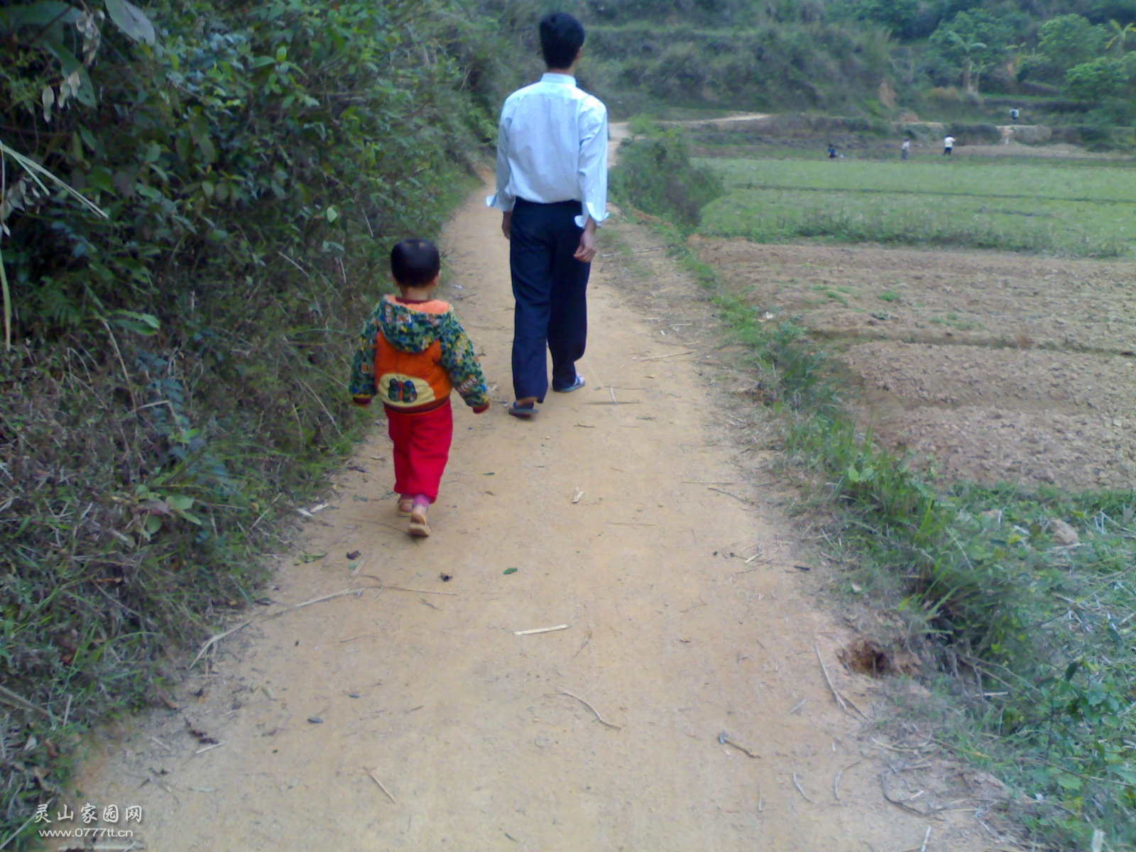 20090318518.jpg