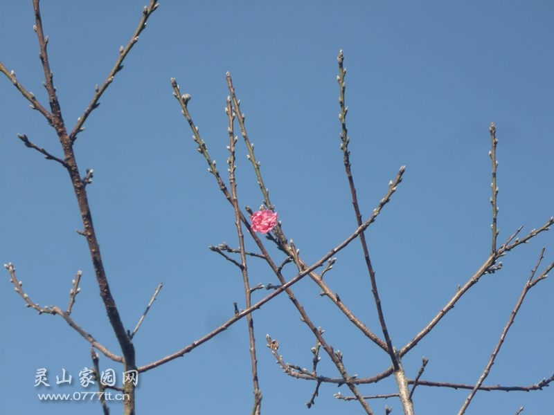 P1230513_副本.jpg