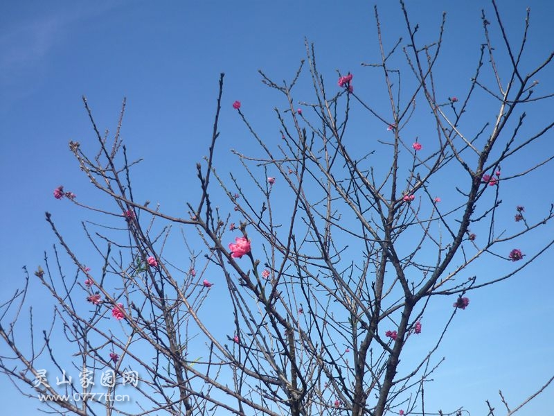 P1230516_副本.jpg