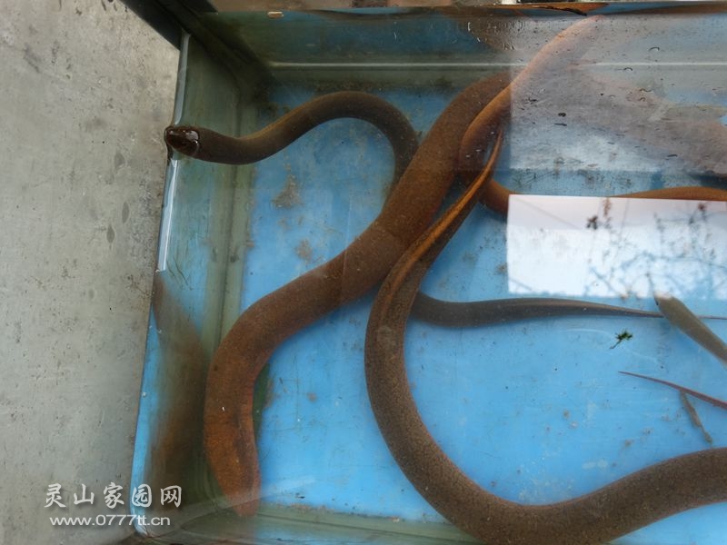 DSC04455_副本.jpg