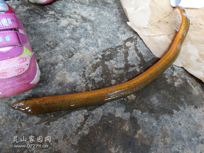 DSC04452_副本.jpg