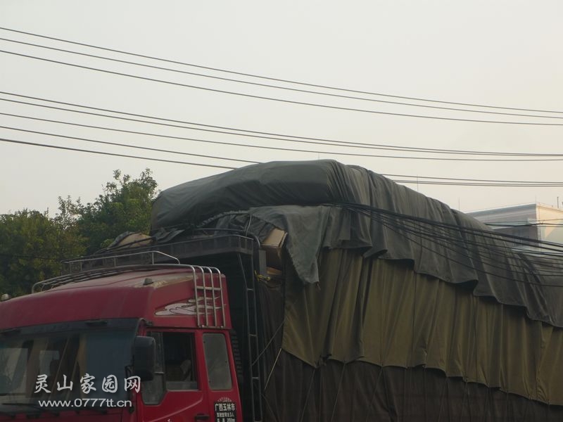 P1230533_副本.jpg
