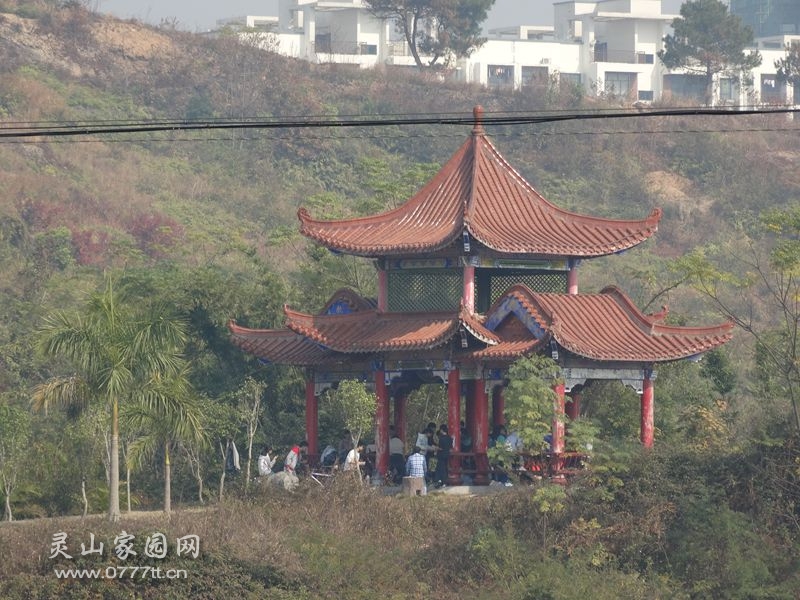 双鹤公园