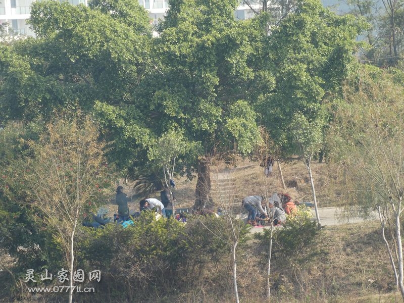 双鹤公园