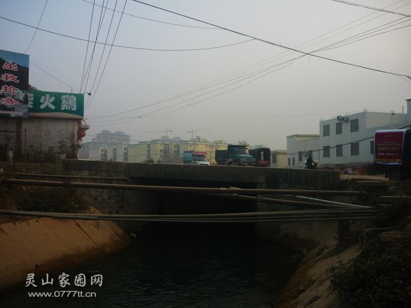 P1230666_副本.jpg