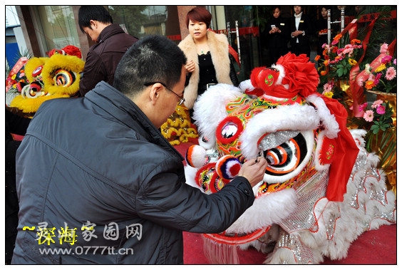 蔡总经理在开盘仪式上为狮子点睛祝开盘大吉