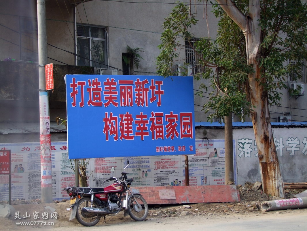 131729xhy9yyc8cs17dfic.jpg