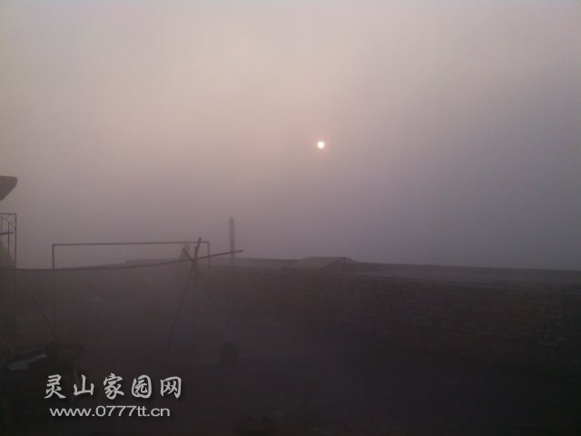 YP20140131081422.jpeg