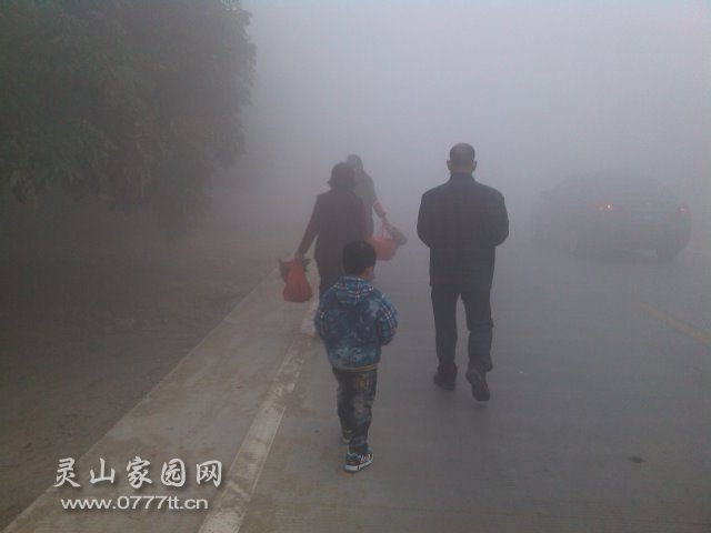 YP20140131084348.jpeg