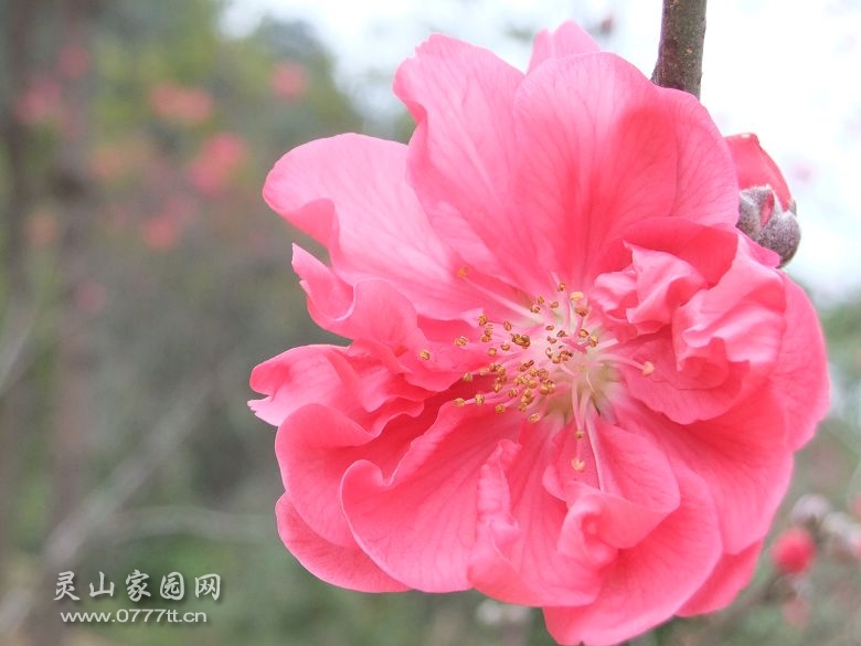 DSCF6757.jpg