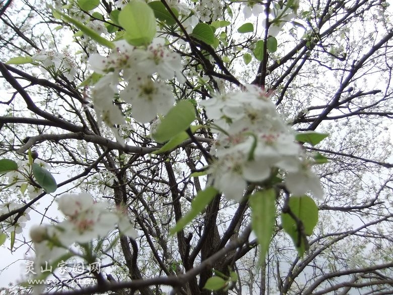 DSCF6845.jpg