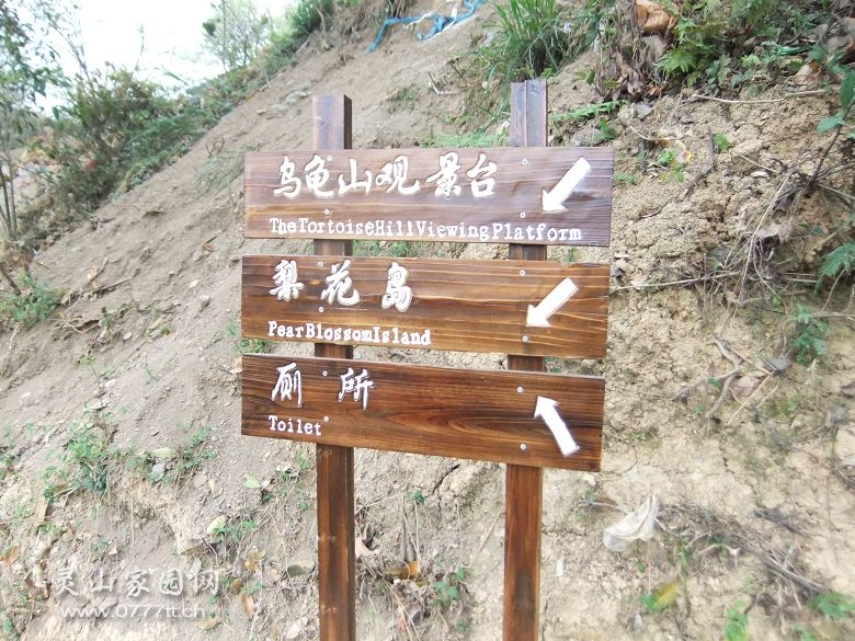 DSCF6862.jpg