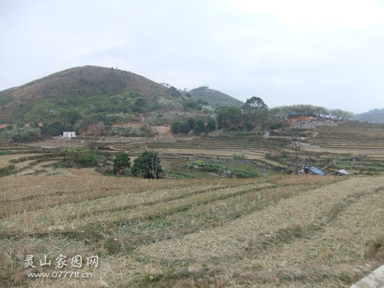 DSCF6900.jpg