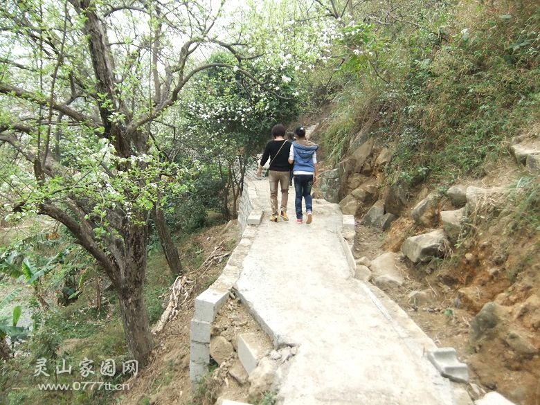 DSCF6905.jpg