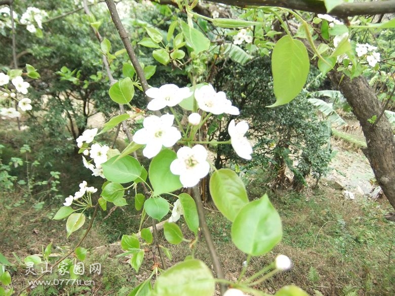 DSCF6907.jpg