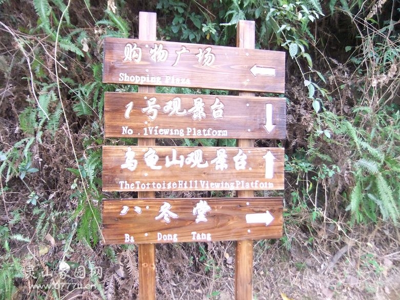 DSCF6912.jpg