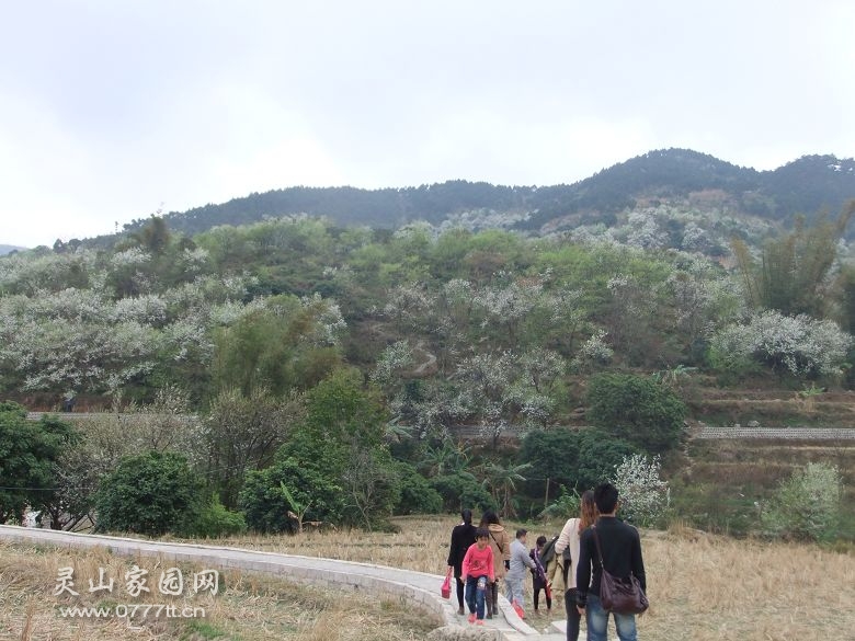 DSCF6918.jpg