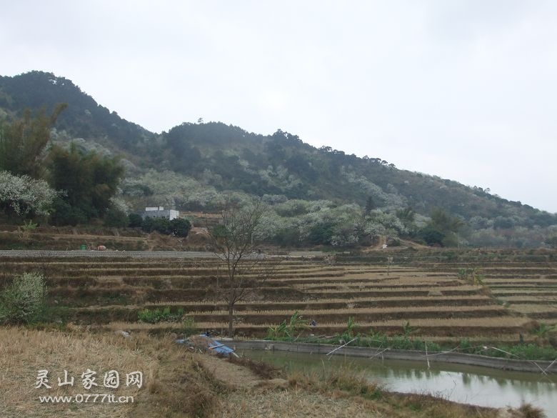DSCF6920.jpg