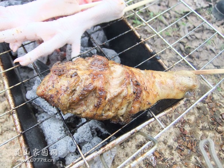 DSCF6955.jpg