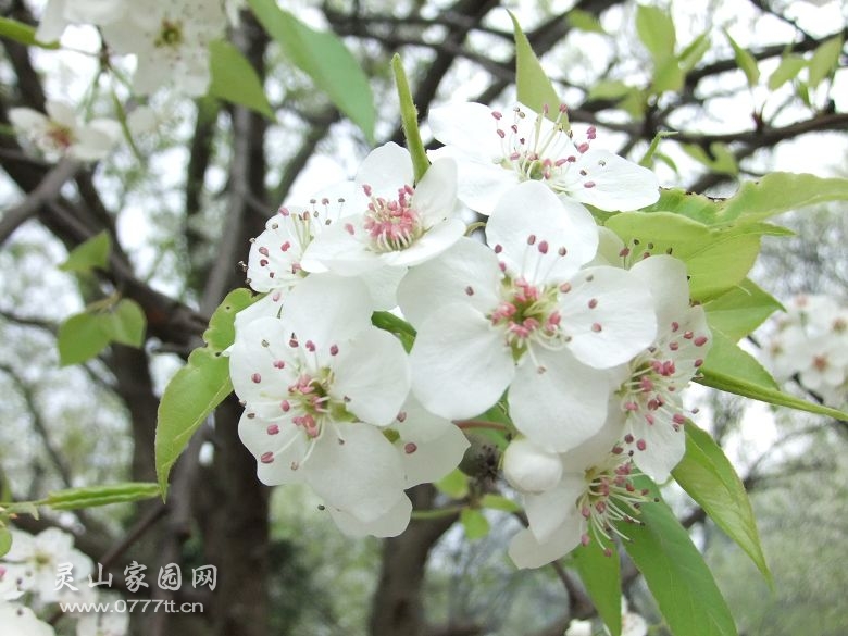 DSCF6972.jpg