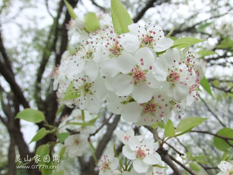 DSCF6973.jpg