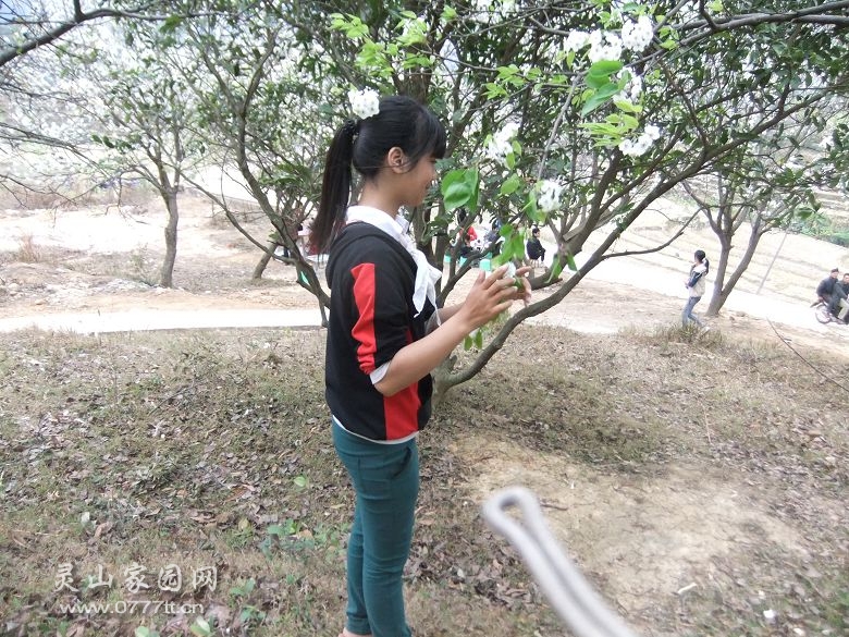 DSCF6974.jpg