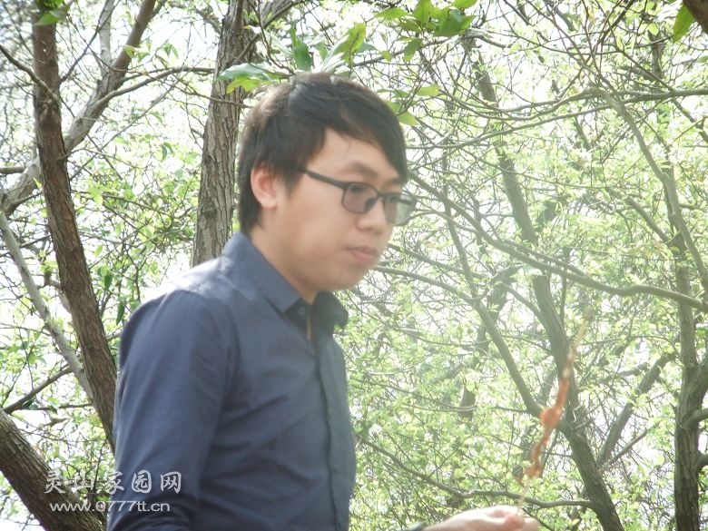 DSCF6993.jpg