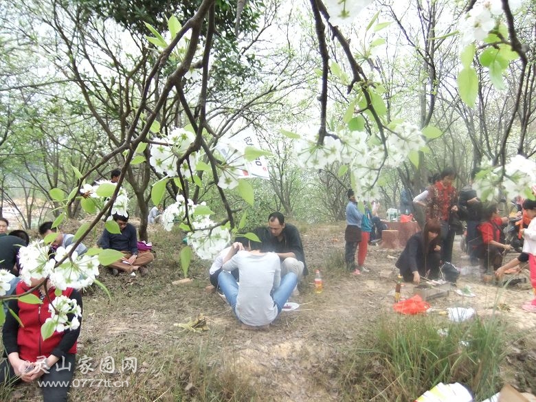 DSCF6996.jpg