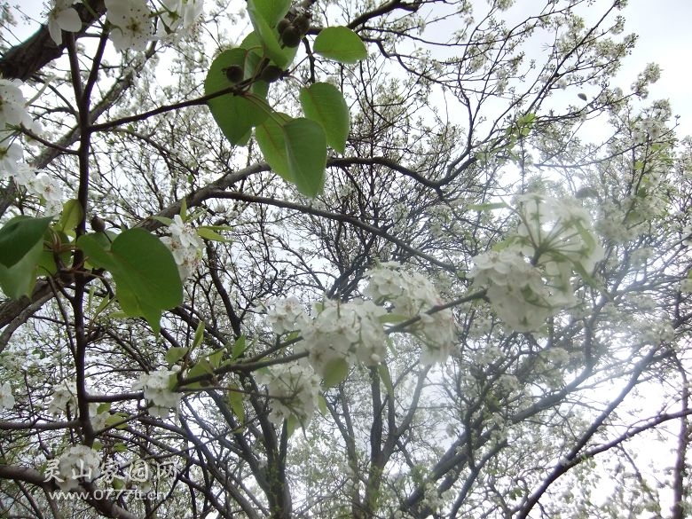 DSCF6999.jpg