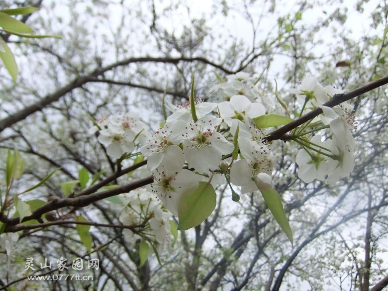DSCF7013.jpg