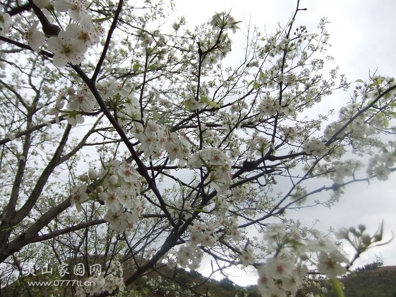 DSCF7021.jpg
