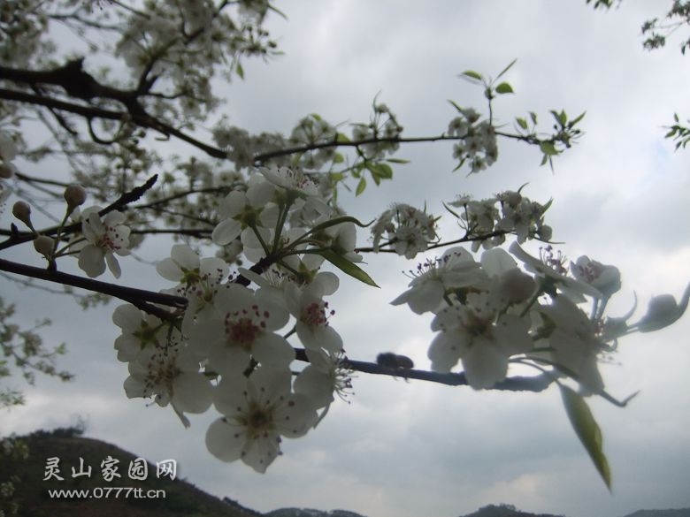 DSCF7022.jpg