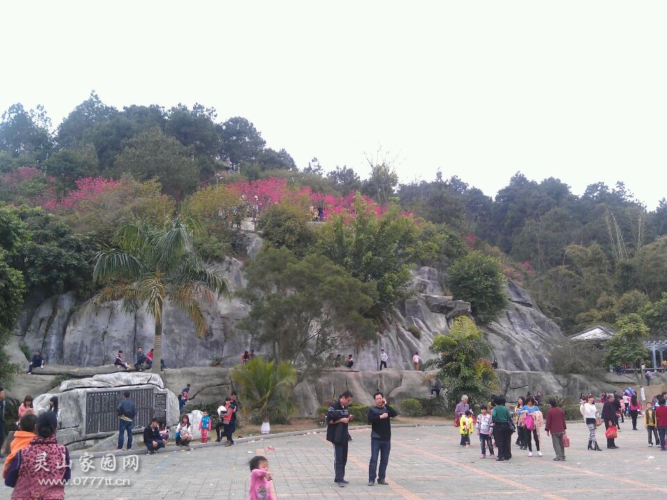 山上的桃花，山下的旅客，热闹过大年！