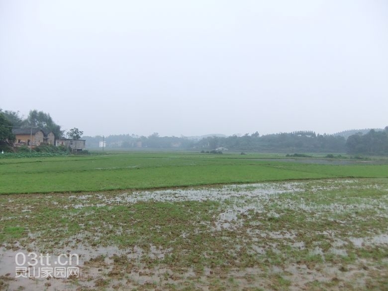 DSCF8339.jpg