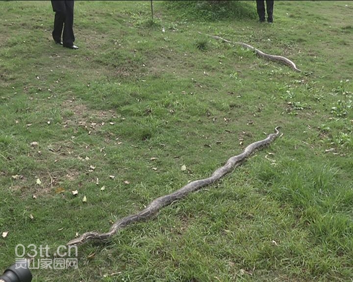 Still0326_00015.JPG